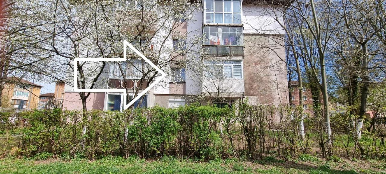 Studio Vale Apartment Hunedoara Exterior photo