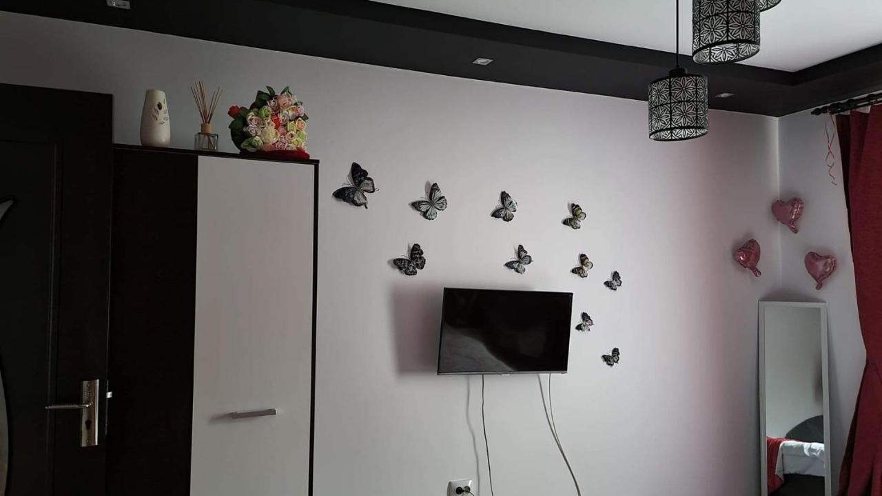 Studio Vale Apartment Hunedoara Exterior photo