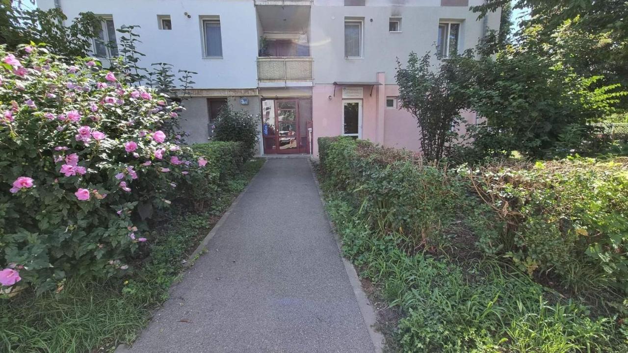 Studio Vale Apartment Hunedoara Exterior photo